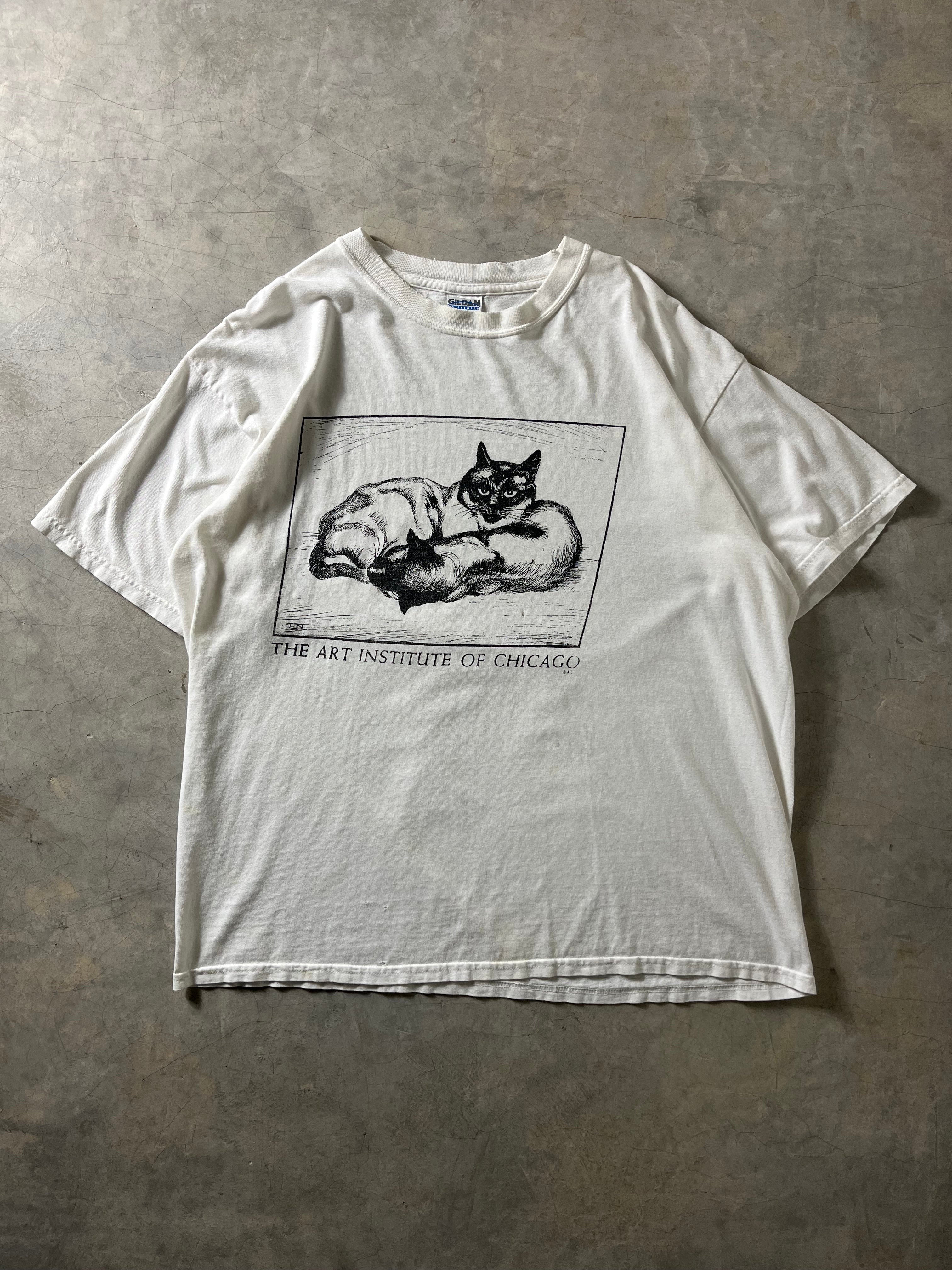 1990s AIC Cats